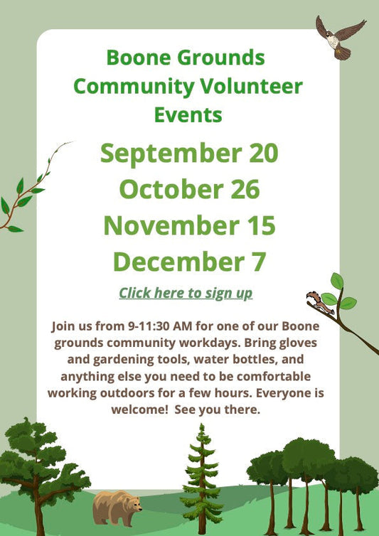 Boone Grounds Day